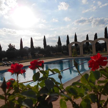 Hotel Vega بيرودجا المظهر الخارجي الصورة