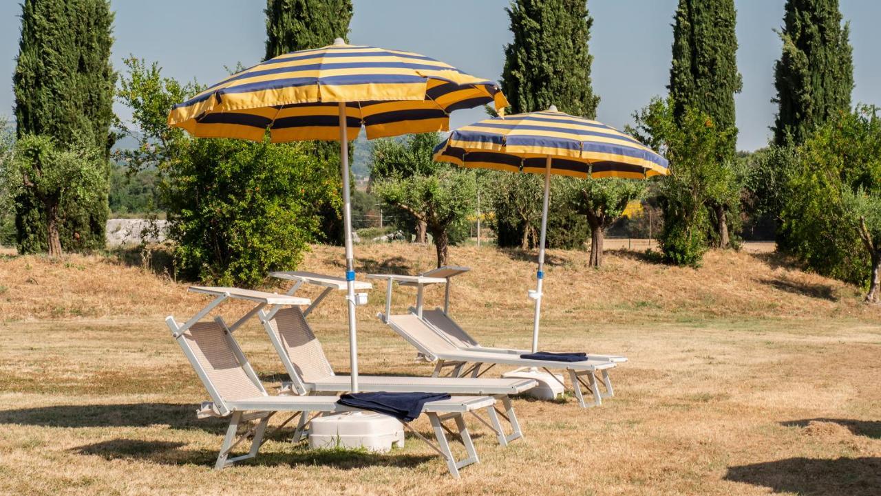 Hotel Vega بيرودجا المظهر الخارجي الصورة