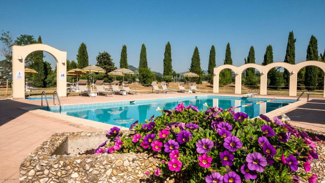 Hotel Vega بيرودجا المظهر الخارجي الصورة